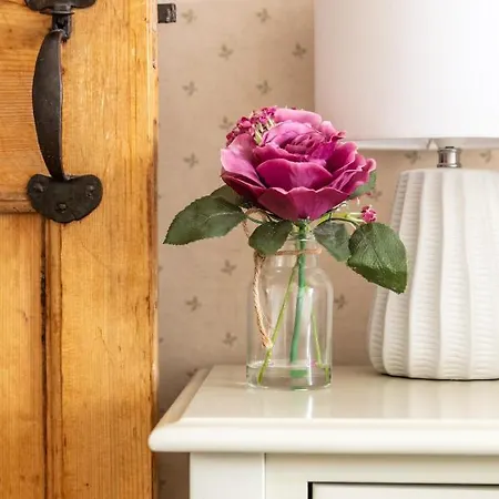 Dom wakacyjny Maggie Puddle *